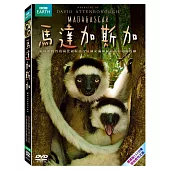 馬達加斯加 (DVD)