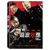 迴波效應 (DVD)