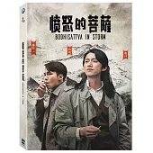 憤怒的菩薩 4DVD