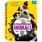 動物資優班 套裝 DVD