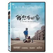 我想有個家 (DVD)