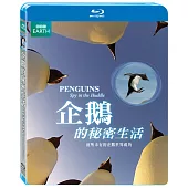 企鵝的秘密生活 (藍光BD)