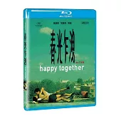 春光乍洩4K修復版 BD