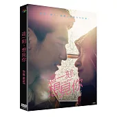 這一刻，想見你 DVD