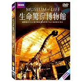 生命驚奇博物館2 2DVD