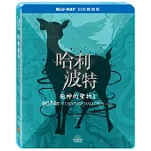 哈利波特：死神的聖物 1 幻彩雙碟版 (藍光2BD)