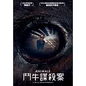 鬥牛謀殺案 DVD