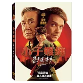 小子難纏: 空手道傳奇 (DVD)