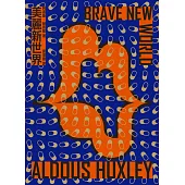 美麗新世界 (電子書)