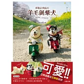 網友讚爆!比本尊更可愛! 呆萌又俏皮の羊毛氈柴犬 (電子書)