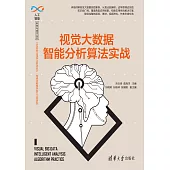視覺大資料智慧分析演算法實戰 (電子書)