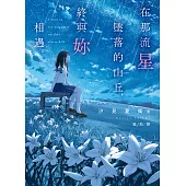在那流星墜落的山丘，終與妳相遇。 (電子書)