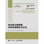 高光譜衛星圖像協同處理理論與方法 (電子書)