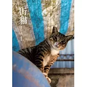 街貓 (電子書)