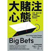 大賭注心態：比爾．蓋茲力薦！9種思維，讓不可思議的改變發生 (電子書)