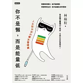 你不是懶，而是能量低：人生開外掛的精力管理術 (電子書)