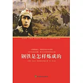 鋼鐵是怎樣煉成的 (電子書)