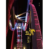 靚麗雞西 (電子書)