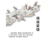 偶遇愛情 (電子書)