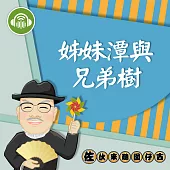 姊妹潭與兄弟樹：佐伙來聽囡仔古22 (有聲書)