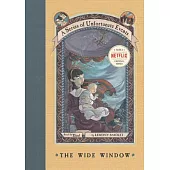 The Wide Window