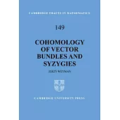 Cohomology of Vector Bundles and Syzygies