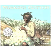 Working Cotton