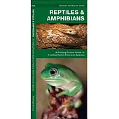 Reptiles and Amphibians: A Folding Pocket Guide to Familiar North American Species