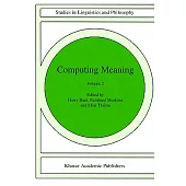 Computing Meaning