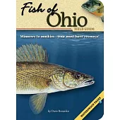 Fish of Ohio Field Guide