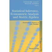 Statistical Inference, Econometric Analysis and Matrix Algebra: Festschrift in Honour of G飆z Trenkler