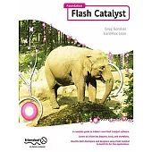 Foundation Flash Catalyst