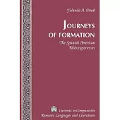 Journeys of Formation: The Spanish American 