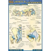 Joints & Ligaments Quick Reference Guide