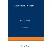 Acoustical Imaging: Visualization and Characterization