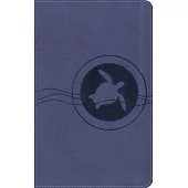 Adventure Bible for Early Readers-NIRV