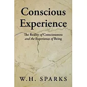 Conscious Experience: The Reality of Consciousness and the Experience of Being