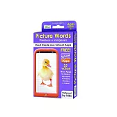 Picture Words Flash Cards