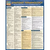 Anatomy Terminology
