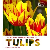 The Plant Lover’s Guide to Tulips