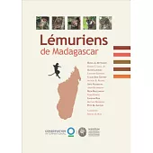 Lémuriens De Madagascar