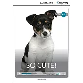 So Cute!: Beginning, Book + Online Access