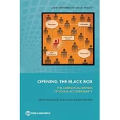 Opening the Black Box: The Contextual Drivers of Social Accountability