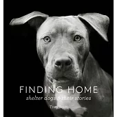 Finding Home: Shelter Dogs & Their Stories