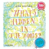 What’s Hidden in the Woods?