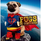 Pugs in Costumes