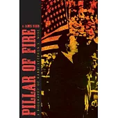 Pillar of Fire: A Biography of Stephen S. Wise