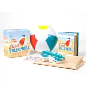 Desktop Beach Volleyball