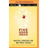 Five Good Ideas: Practical Strategies for Non-Profit Success