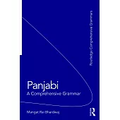 Panjabi: A Comprehensive Grammar